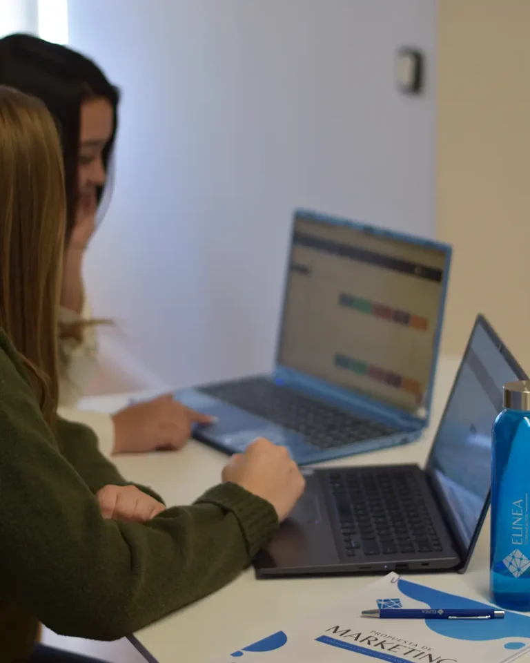 Equipo de Elinea Comunicación trabajando en la estrategia digital de un cliente
